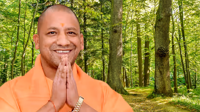 Yogi govt to celebrate 'forestry new year' after planting 36.51 crore saplings
