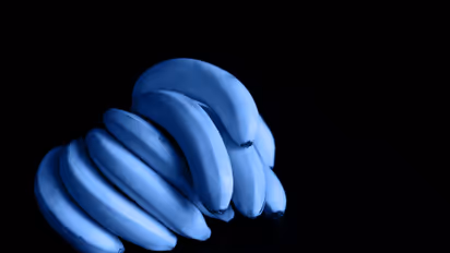 Blue Java Banana: क्या यह केला सचमुच आइसक्रीम जैसा लगता है?