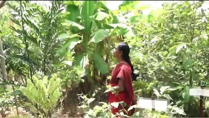 யார் இந்த மதுரையை சேர்ந்த சுபஶ்ரீ.! பிரதமர் மோடி பாராட்டும் அளவிற்கு என்ன சாதித்தார்.? 