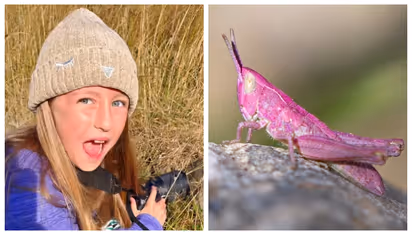 ഒരു ശതമാനം മനുഷ്യന് മാത്രം ലഭിക്കുന്ന ഭാഗ്യം, 'പിങ്ക് വെട്ടുക്കിളി'യെ പകർത്തി എട്ട് വയസുകാരി; ചിത്രങ്ങൾ വൈറൽ