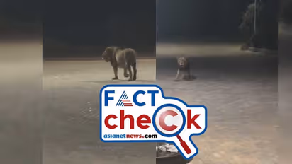 നിലമ്പൂരില് സിംഹം പെട്രോള് പമ്പില് എത്തിയോ? വീഡിയോയുടെ വസ്തുത എന്ത്- Fact Check