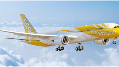 ഇനി കൂടുതൽ പറക്കാം! ബജറ്റ് എയര്‍ലൈൻ സ്‌കൂട്ടിന്‍റെ പുതിയ പ്രഖ്യാപനം, 'ശൈത്യകാലം പ്രമാണിച്ച് അധിക സർവീസുകൾ'