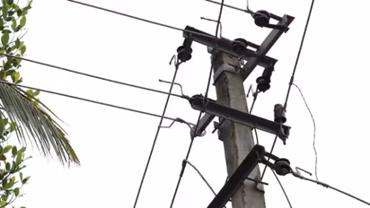 അവഗണിച്ചാൽ ഇനി മുതൽ പിഴ നൽകണമെന്ന് കെഎസ്ഇബി; ഇലക്ട്രിക് പോസ്റ്റുകളിലെ പരസ്യ ബോര്‍ഡുകള്‍ നീക്കാൻ നിർദേശം 