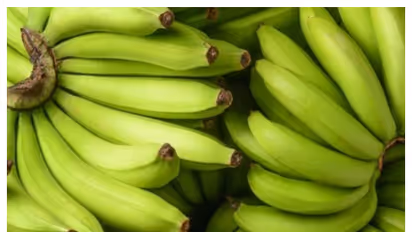 রোজ পাতে রাখলেই থাকবেন সুস্থ ও চনমনে! কাঁচা কলার এই অজানা উপকারিতা জানেন না অনেকেই