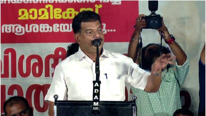 മുഖ്യമന്ത്രിയുടെ ലേഖനത്തിനെതിരെ അൻവർ; 'എന്തുകൊണ്ട് മലയാള മാധ്യമങ്ങളോട് പറഞ്ഞില്ല, മലപ്പുറത്തെ അപമാനിച്ചു'