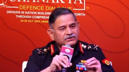 'Masterstroke by Israelis': Indian Army chief praises Lebanon pager blast operation via shell company (WATCH)