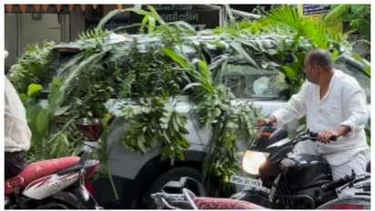 'ഒരു കാട് സഞ്ചരിക്കുന്നത് പോലെ'; ചെടികളുടെ ഇലകള്‍ കൊണ്ട് പൊതിഞ്ഞ വിവാഹ വണ്ടിയുടെ വീഡിയോ വൈറൽ 