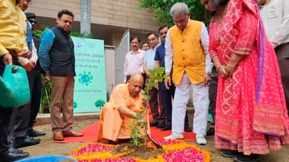 Yogi govt plants 36.80 crore saplings, surpasses its target under Ped Lagao, Ped Bachao Campaign 2024