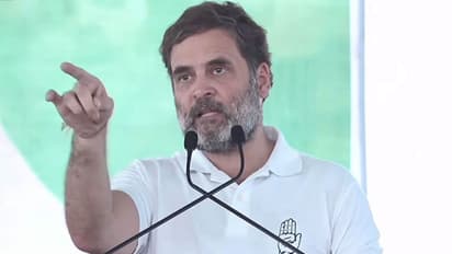രാഹുൽ ഗാന്ധിയെ മഹാരാഷ്ട്ര പ്രചാരണത്തിൽ നിന്ന് വിലക്കണമെന്ന് ബിജെപി; നുണ പ്രചരിപ്പിക്കുന്നുവെന്ന് പരാതി