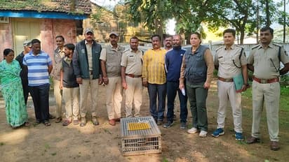 ಬೆಳಗಾವಿ: ಚೀನಾಗೆ ಎಕ್ಸ್ಪೋರ್ಟ್ ಮಾಡುವ ಚಿಪ್ಪು ಹಂದಿ ಕಳ್ಳರ ಗ್ಯಾಂಗ್ ಮೇಲೆ ದಾಳಿ, ಇಬ್ಬರ ಬಂಧನ