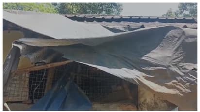 കാലടി പ്ലാന്റേഷനിൽ തൊഴിലാളി ലയത്തിന് നേർക്ക് കാട്ടാന ആക്രമണം