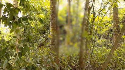 പോക്സോ കേസിൽ പ്രതിയായ മുന്‍ സിപിഎം ബ്രാഞ്ച് സെക്രട്ടറി മരിച്ച നിലയിൽ