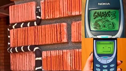 ನೋಕಿಯಾ ಹ್ಯಾಂಡ್‌ಸೆಟ್‌ನಲ್ಲಿದ್ದ ಸ್ನೇಕ್ ಗೇಮ್ ನೆನಪಿಸಿದ ರಿಯಲ್ ಸ್ನೇಕ್