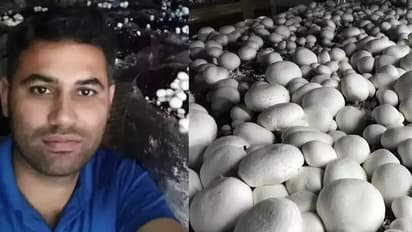This MBA grad turned away from corporate jobs for mushroom farming and now makes Rs 90 lakh a year