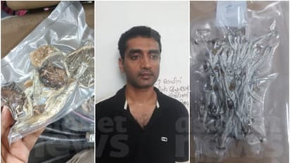 ആഢംബര കാറിൽ കടത്താന് ശ്രമം, വാഹന പരിശോധനക്കിടെ പിടിവീണു; ലക്ഷങ്ങൾ വിലമതിക്കുന്ന മാജിക് മഷ്റൂം പിടിച്ചെടുത്തു