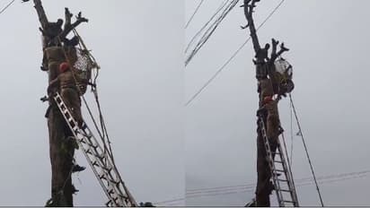 തേക്ക് മുറിക്കുന്നതിനിടെ സ്ട്രോക്ക്, 49കാരനെ മരത്തിൽകെട്ടിവച്ച് സഹായി, രക്ഷകരായി അഗ്നിശമന സേന