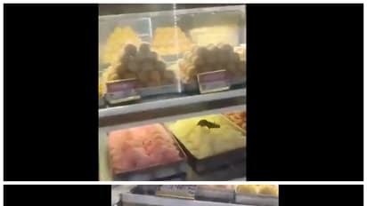 Rat runs over sweets kept at display counter in Delhi shop; viral video sparks health concerns (WATCH)