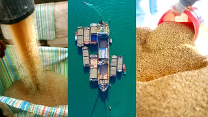 प्रतीकात्मक तस्वीर।