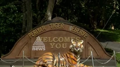 'പെരിയാർ കടുവാസങ്കേതത്തിൽ നിന്നും ജനവാസമേഖല ഒഴിവാക്കണം' കേന്ദ്ര സർക്കാരിനോട് വീണ്ടും ആവശ്യപ്പെടാൻ തീരുമാനം