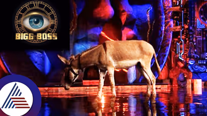 ಬಿಗ್​ಬಾಸ್​​ ಸ್ಪರ್ಧಿಯಾಗಿ ಕತ್ತೆ? ಎರಡು ಕಾಲಿಂದಲ್ಲ ಸ್ವಾಮಿ, ನಿಜವಾಗ್ಲೂ ನಾಲ್ಕು ಕಾಲಿಂದೇ...ವಿಡಿಯೋ ರಿಲೀಸ್​!