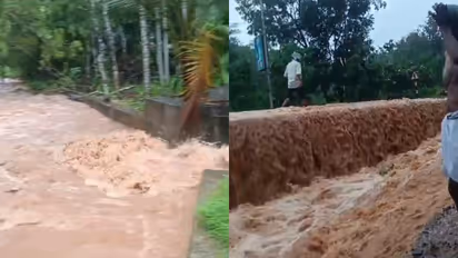 തോരാതെ മഴ, മണ്ണിടിച്ചിൽ, ഉരുൾപൊട്ടൽ ഭീതി; വിലങ്ങാട് 16 കുടുംബങ്ങളെ ദുരിതാശ്വാസ ക്യാമ്പിലേക്ക് മാറ്റി
