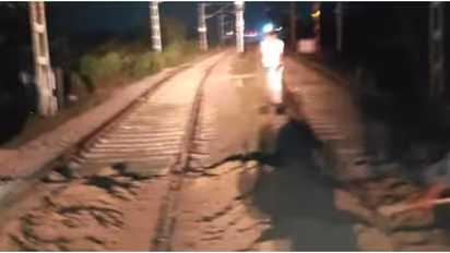 ലോക്കോ പൈലറ്റ് ആ കാഴ്ച കണ്ട് ആദ്യമൊന്ന് ഞെട്ടി, ഒട്ടും പതറാതെ ട്രെയിൻ നിർത്തി; റെയിൽ ട്രാക്കിൽ കണ്ടത് മൺകൂന