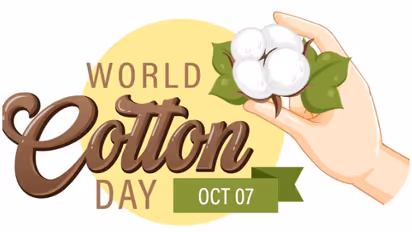 Gujarat, Maharashtra lead India's cotton revolution as country celebrates world cotton day