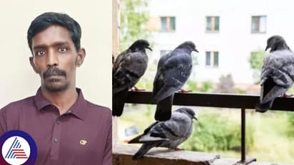 ನೀವು ಬೆಂಗಳೂರು ನಿವಾಸಿಗಳಾಗಿದ್ದು, ನಿಮ್ಮನೆ ಬಳಿ ಪಾರಿವಾಳ ಬಂತೆಂದರೆ ಎಚ್ಚರವಾಗಿರಿ!