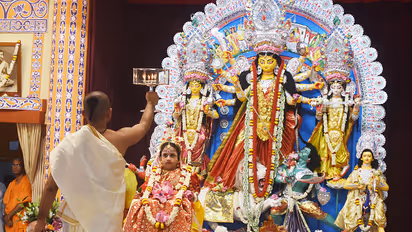  Durga Puja