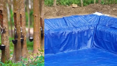 കോന്നിയിലെ റബ്ബർ തോട്ടത്തിൽ പടുതാക്കുളം, ആരും സംശയിക്കില്ല! പരിശോധിച്ചപ്പോൾ 520 ലിറ്റർ കോട; കേസെടുത്ത് എക്സൈസ്