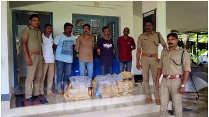 വാടക വീട് കേന്ദ്രീകരിച്ച് കടൽവെള്ളരി കച്ചവടം; 103 കിലോയ്ക്ക് വിപണിയിൽ വില അരക്കോടി, നാലംഗ സംഘം പിടിയിൽ