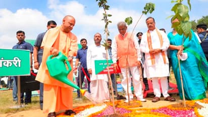 UP govt launches 'Ped Bachao' campaign to protect saplings
