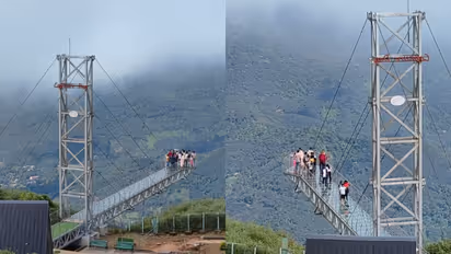 'സഞ്ചാരികളേ ഇതിലേ ഇതിലേ...'; വാഗമൺ ചില്ല് പാലം വീണ്ടും തുറന്നു, ആദ്യദിനമെത്തിയത് 600 ലേറെ പേർ