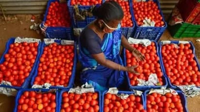 தக்காளி, வெங்காயம் விலை குறைந்தது.! காய்கறி சந்தையில் ஒரு கிலோ எவ்வளவு தெரியுமா.?