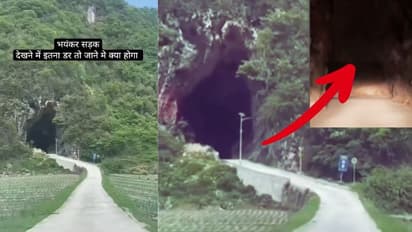 ಕಗ್ಗತ್ತಲಿನ ಸುರಂಗದೊಳಗೆ ಹೋಗ್ತಿದ್ದಂತೆ ಕಾಣಿಸಿದ್ದೇನು? ನಡುಗಲು ಶುರು ಮಾಡಿದ ಚಾಲಕ