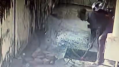 രോഗം, ദുരിതം, ദിവ്യദൃഷ്ടിയിൽ വീട്ടുമുറ്റത്ത് കണ്ടെത്തുന്ന ഏലസുകളും, നാഗരൂപങ്ങളും; സിദ്ധന്റെ വിദ്യ സിസിടിവിയിൽ