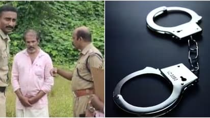 കാട്ടുപന്നിയെ ലക്ഷ്യമിട്ട് കെണിവെച്ചു; മീൻ പിടിക്കാൻ പോയ സഹോദരൻമാർ ഷോക്കേറ്റ് മരിച്ച സംഭവത്തിൽ പ്രതി പിടിയിൽ