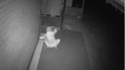 ആദ്യം ട്രാൻസ്ഫോർമറിലെ ഫ്യൂസൂരി; പിന്നെ മുഖംമൂടി ധരിച്ച് ആയുധങ്ങളുമായി പൂട്ട് തല്ലിത്തകർത്തു, കൂട്ട മോഷണ ശ്രമം