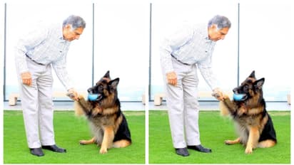 നായ സ്നേഹം, ചാൾസ് രാജകുമാരനില്‍ നിന്നും അവാർഡ് ഏറ്റുവാങ്ങാന്‍ പോലും പോകാതിരുന്ന രത്തന്‍ ടാറ്റ 