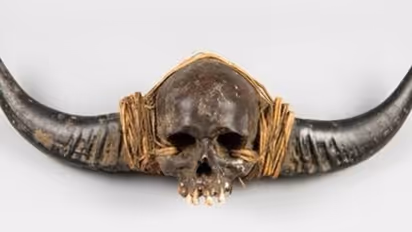 'നാഗ' മനുഷ്യരുടെ തലയോട്ടികൾ തിരികെ കൊണ്ടുവരണമെന്ന് ആവശ്യം; യുകെയിലെ മ്യൂസിയങ്ങളിലുള്ളത് 50000 അവശേഷിപ്പുകൾ