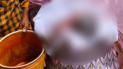 ബസ് സ്റ്റാൻഡ് ടോയ്‍ലറ്റിൽ കമഴ്ത്തിവെച്ച ബക്കറ്റ്, ശുചീകരണ തൊഴിലാളികളെത്തിയത് രക്ഷയായി, കണ്ടത് ചോരക്കുഞ്ഞിനെ