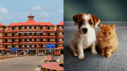 Kerala: Travellers can now bring pets via Cochin Airport; aims to facilitate 'Ease of Living' for pet lovers