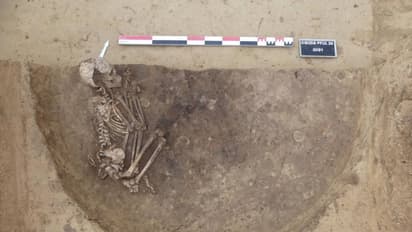 Ancient settlement unearthed beneath French farmland: A 6,000-year-old journey through time in pictures