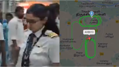 आसमान में कांपे 141 पैसेंजर, एयर इंडिया पायलट ने सेफ लैंडिंग से जीता भारत का दिल