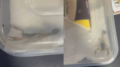 പാഴ്സൽ തുറന്നതേ ഓർമ്മയുള്ളൂ, പേടിച്ച് അലറിക്കരഞ്ഞുകൊണ്ടോടി വിദ്യാർത്ഥിനി