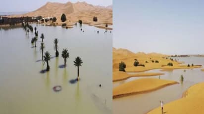 പെരുമഴ, സഹാറ മരുഭൂമിയിലെ തടാകങ്ങളിൽ വെള്ളം, പച്ചപ്പ്, ഇതെന്തിനുള്ള സൂചന? 