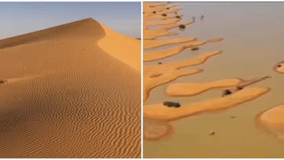 സഹാറ മരുഭൂമിയിൽ വെള്ളപ്പൊക്കം; 50 വർഷത്തിനിടെ ആദ്യത്തെ സംഭവം