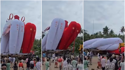 ഓച്ചിറയില് 72 അടി ഉയരമുള്ള 'കാലഭൈരവൻ' കെട്ടുകാള നിലംപതിച്ചു; ഒഴിവായത് വന് അപകടം