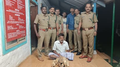 പറമ്പിക്കുളത്ത് നിന്ന് ചന്ദനമരങ്ങൾ മുറിച്ച് കടത്തിയ സംഭവത്തിൽ തമിഴ്നാട് സ്വദേശിയെ വനം വകുപ്പ് സംഘം പിടികൂടി