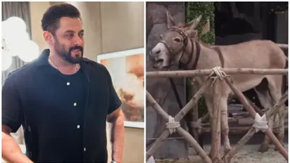 Bigg Boss 18: Donkey contestant 'Gadhraj' released after PETA and NGO intervention